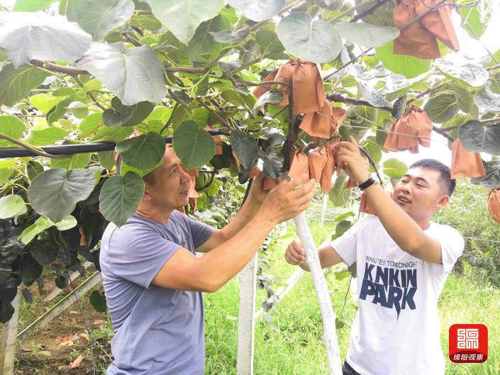 绵阳市东林乡最新消息