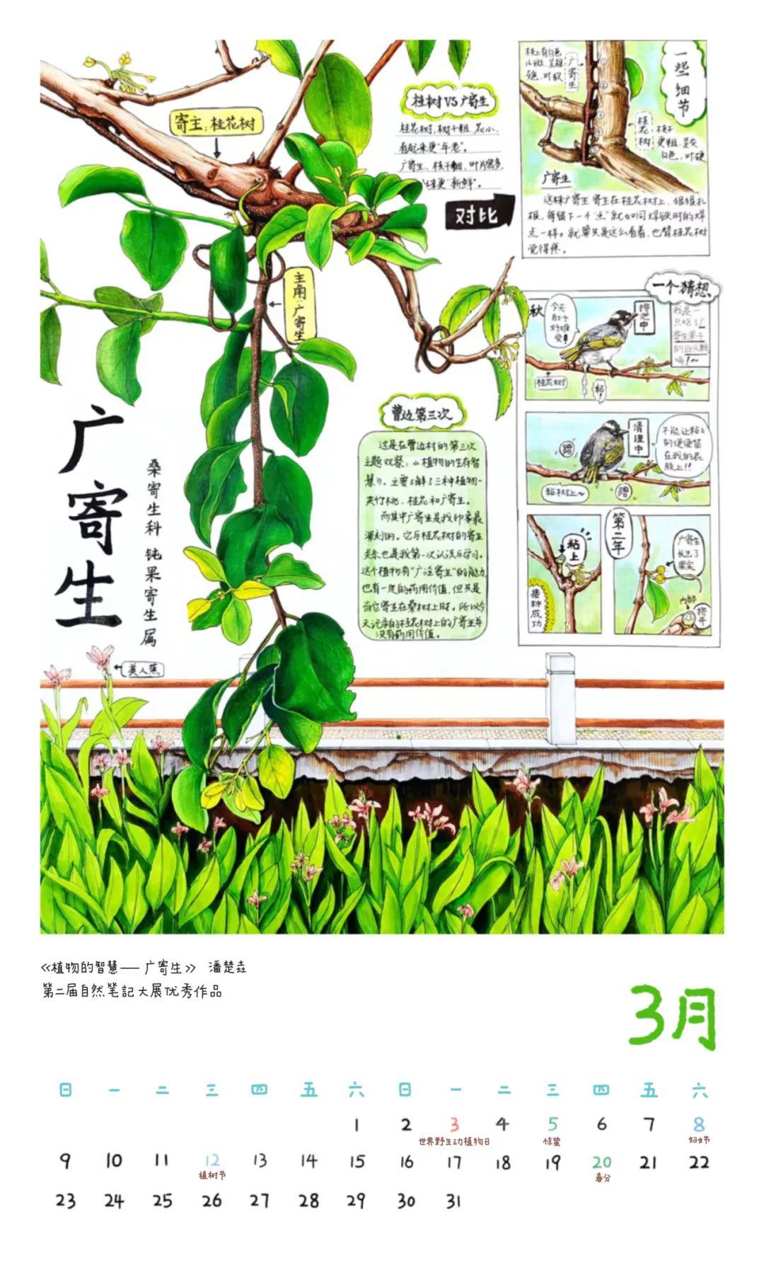 2025新奥门资料大全123期