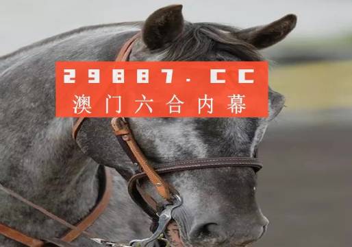 澳门一肖一码一特一中挂